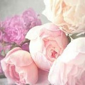شمعة أمل's photo