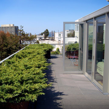 Bay Area Modern