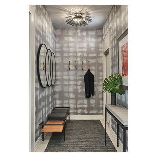 Contemporary Entry - Contemporary - Entry - Chicago