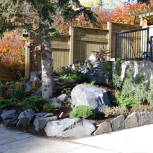mom's front yard