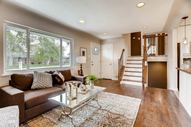 Inspiration for a transitional living room remodel in Denver