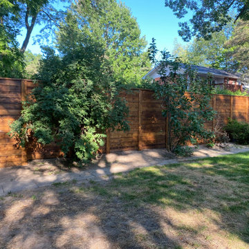 Sheds and Fences, stained and painted