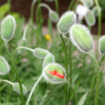 Natur & landskab