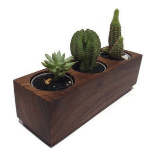 Essence Mini Planters Set of 3 Indoor Small Succulent Planters