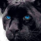Sue Lilly's photo