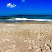 Barb Connolly's photo
