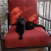Foto de Lori Byrum