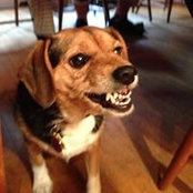 Sally Mcmahon's photo