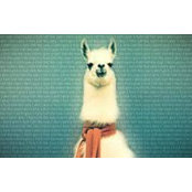 Fabienne Gstoehl's photo