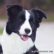 Kendra Hayes's photo