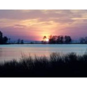 Deb Steen's photo