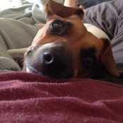 Whitney Nieman's photo