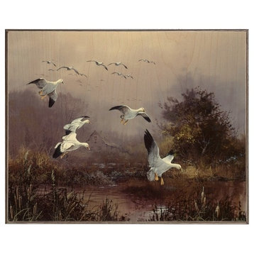 Snow Geese at Jake's Place, Birch Wood Print