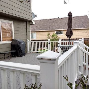 Trex Railing, Gates, and LED Post Cap Lighting