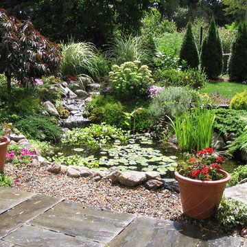 Masicki Backyard Pond - Westport