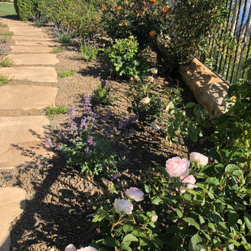Rose Garden Path