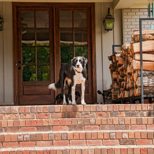 front doors