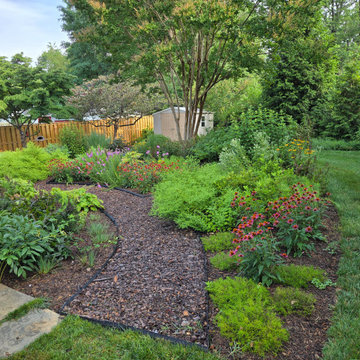 Established Native Plant Side Garden | Fairfax, VA