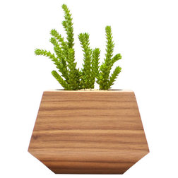 Modern Indoor Pots And Planters by Revolution Design House