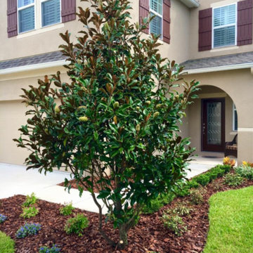 Landscaping Projects
