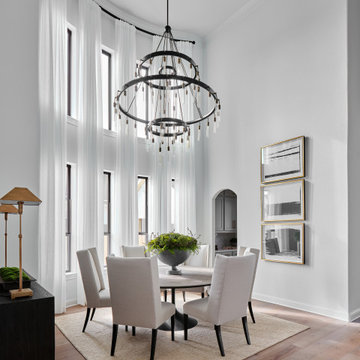 Belterra Project- Furnishings, Light Fixtures & Interior Design