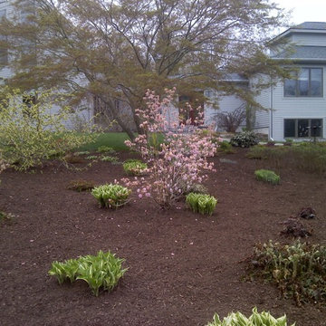 Shade Garden early spring (low maintenance)