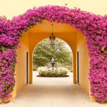 flowers around archway