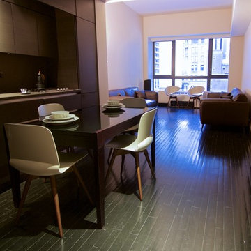 NYC Financial District Apartment