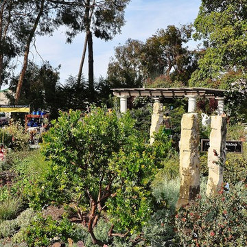 Mediterranean Los Osos Garden