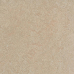 Forbo - Forbo Marmoleum Fresco, Silver Birch - 3871 - Flooring