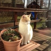 Kealey White's photo
