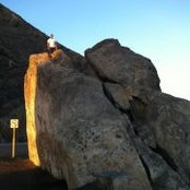 Phillip Field's photo