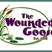 Wounded Gooses foto