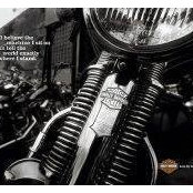 Marty Sloan Kaplan's photo