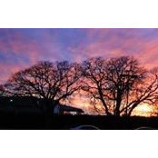 Jade Chuenkamon's photo