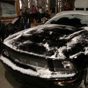 David Gibson's photo