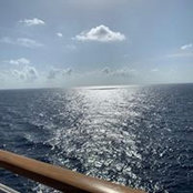 Nicole Ferrell's photo