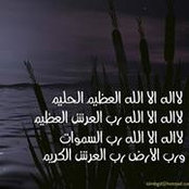 Sarah Ragab's photo