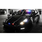 AJ King's photo