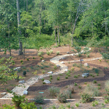 Our Landscape Projects