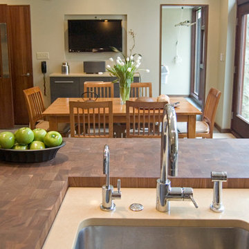 Award Winning Modernist Home Renovation, Philadelphia, Pennsylvania