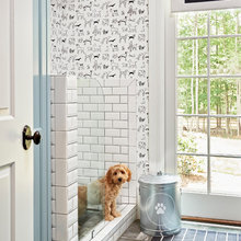 dog shower
