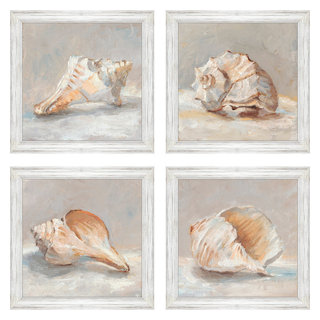 Shell Study Artwork, 4-Piece Set - Beach Style - Prints And Posters ...