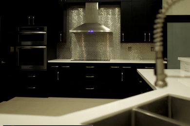 This is an example of a modern kitchen in Miami.
