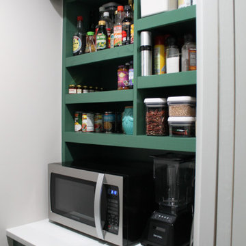 Spring Branch Remodel