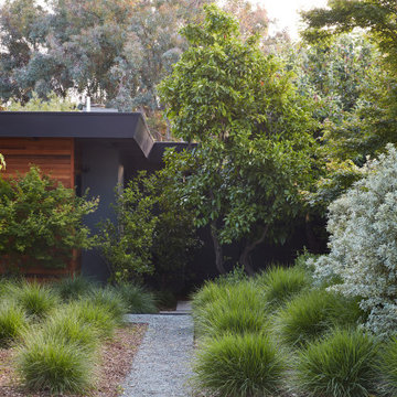 GARDEN DESIGN