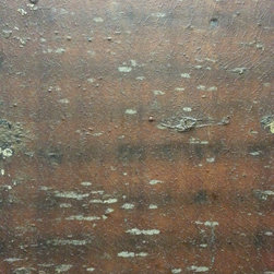 BARK DOOR PROJECT - Interior Doors