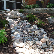 Landscape Ideas