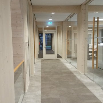 NUR HOLZ Massivholzhaus Bürogebäude
