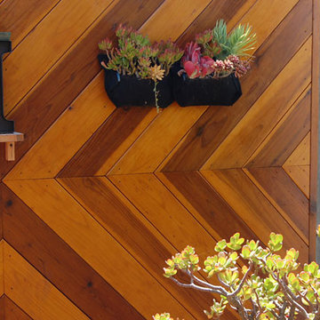 Pacific Beach Contemporary